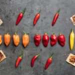 The Science Behind Spicy Spice: Why Do We Love Suffering from Chili Peppers?